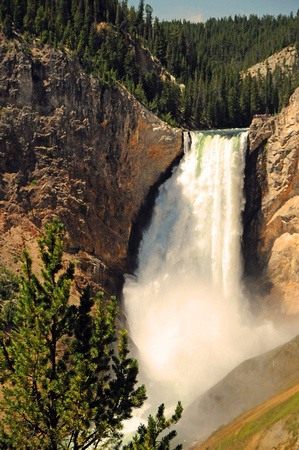 Lower Falls Yellowstone River